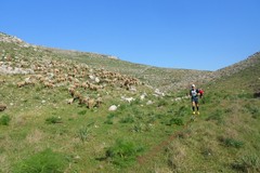 “MurGeoPark Trail Experience”: la corsa che unisce sport e territorio