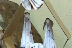 Il Natale dell'I.C. Tattoli-De Gasperi a fianco di Medici senza frontiere