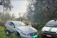 Incidente sulla Provinciale 30: famiglia con due bambini salva grazie all' intervento delle Guardie Campesti Corato