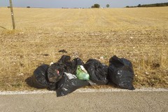 «Uno specchio amaro del nostro territorio»: la Murgia diventa punto di raccolta abusivo