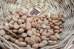Torna a Corato la Festa della Mandorla: gusto, tradizione e territorio per la 9ª edizione