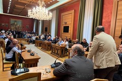 «Una battaglia che riguarda tutti»: chiesto lo stato di crisi per l’olio