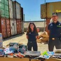 Sequestrati 300 mila prodotti contraffatti destinati al mercato del territorio
