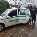 Da Corato in Abruzzo in aiuto agli animali delle zone terremotate