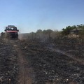 Fiamme in contrada Piede Piccolo: a fuoco 3 ettari di macchia