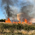 Fiamme a ridosso del centro di raccolta rifiuti