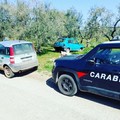 Auto rubata a Corato ritrovata in un fondo agricolo di Ruvo