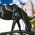 Cavalieri di tutta Italia a Corato per il raduno nazionale  "Natura a cavallo "