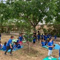 Progetto  "Ricominciamo ": picnic nel frutteto