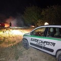 Incendio scongiurato in contrada Le Cruste: la tempestività delle guardie campestri evita il peggio