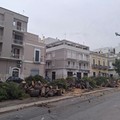 Riqualificazione di Piazza Parini, Direzione Corato chiede l'accesso alla relazione agronomica sugli alberi