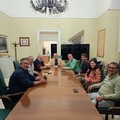 Crisi del comparto olivicolo-oleario, a Palazzo di Città il confronto con le associazioni di categoria