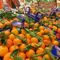 Abusivismo commerciale a Corato: l'esasperazione dei fruttivendoli legali