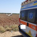 Disastro aereo fra Corato e Trani, si attendono gli esiti delle autopsie sui corpi delle vittime