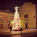 Un albero di Natale al centro della Piazza, il  "Grazie " di Palazzo di Città a chi lo ha fatto allestire