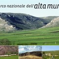  "Biodiversità Resilienza e Cambiamenti Climatici " al Parco si discute di corretta gestione del Capitale Natura