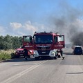Auto in fiamme sulla Corato - Bisceglie: tanta paura ma nessun ferito