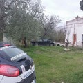 Auto rubata a Corato rinvenuta grazie al GPS