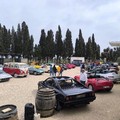Tra storia e motori, grande successo per il Raduno di Primavera: tappa finale a Corato