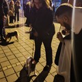Celebrazioni di Sant'Antonio Abate: ieri la benedizione degli amici a quattro zampe