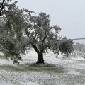 Neve su Corato, nessun disagio per la cittadinanza