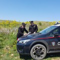 Rinvenute tre scocche d'auto al confine fra Corato e Ruvo di Puglia