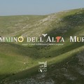 A Pasqua partirà la quarta edizione del Cammino dell'Alta Murgia in Puglia