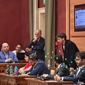 Agricoltura e Made In Italy: il PD porta in consiglio comunale una mozione per il rilancio del comparto