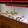 Reperti di San Magno, «Già fruibili nel Museo della città e del territorio»