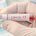 Covid, cala la percentuale dei contagi: 915 nuovi casi in Puglia