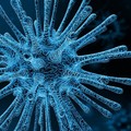 Bollettino coronavirus, 22 casi nel barese. Diciannove i decessi in Puglia