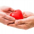 Il 2023 si apre con un gesto d'amore: la prima donazione dell'anno è di una coratina