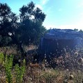 Il Dolmen, uno dei simboli di Corato abbandonato all’incuria totale