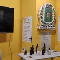 Il comune di Corato alla Fiera Olio Capitale di Trieste