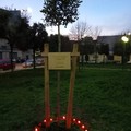 L’ANPI pianta l’albero della Memoria in piazza Almirante