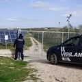 Bande organizzate assaltano campi fotovoltaici