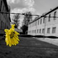 A Corato una mostra per non dimenticare l’orrore della Shoah