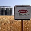 “Gran Giorno, Giornata del Grano ": Granoro celebra il raccolto del grano pugliese e la filiera  "Dedicato "