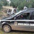 Auto cannibalizzata rinvenuta nelle campagne