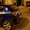 Ladri in azione in una frutteria , Vigilantes sventano il furto