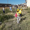 I volontari ripuliscono il Belvedere: oltre una tonnellata di rifiuti