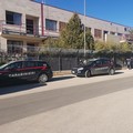 Tragedia al Liceo Scientifico, studente precipita dalla finestra