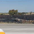 Incendio Castel del Monte, Montaruli e Zagaria: «L'accaduto è gravissimo»