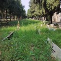 Cimitero Comunale di Corato, i Campi 1 e 2 infestati dalle erbacce