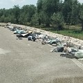 La strada provinciale 85 sta diventando una vera e propria discarica abusiva