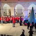 Inaugurato l'albero all'uncinetto all'interno del chiostro di Palazzo di Città