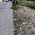 Nessun marciapiede nei pressi della stazione di Corato Sud: gli studenti del  "Federico II " chiedono interventi