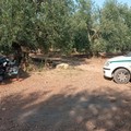 Scoperte scocche di automobili rubate in contrada Colonnella