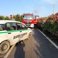 Incendio di sterpaglie sulla SP30: intervento tempestivo grazie alle Guardie Campestri