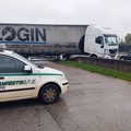 Incidente sulla SP231 in direzione Andria: camion invade la corsia opposta